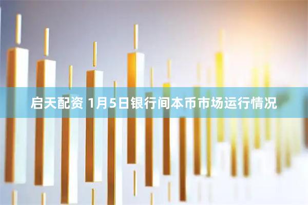 启天配资 1月5日银行间本币市场运行情况