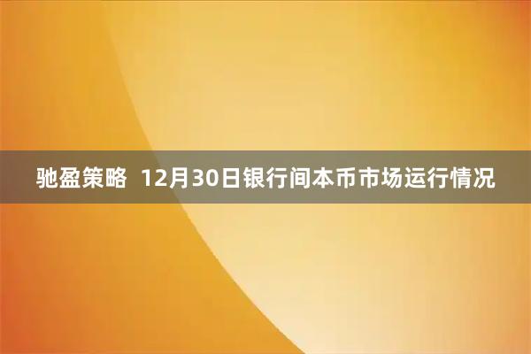 驰盈策略  12月30日银行间本币市场运行情况