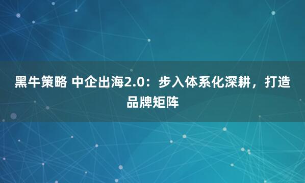 黑牛策略 中企出海2.0：步入体系化深耕，打造品牌矩阵