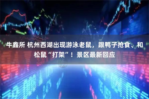 牛鑫所 杭州西湖出现游泳老鼠，跟鸭子抢食、和松鼠“打架”！景区最新回应