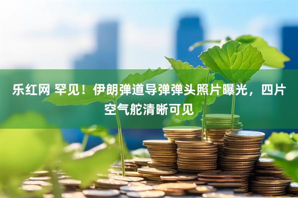 乐红网 罕见！伊朗弹道导弹弹头照片曝光，四片空气舵清晰可见