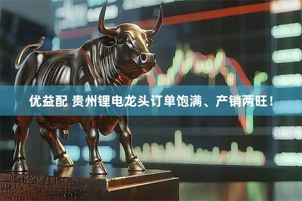 优益配 贵州锂电龙头订单饱满、产销两旺！