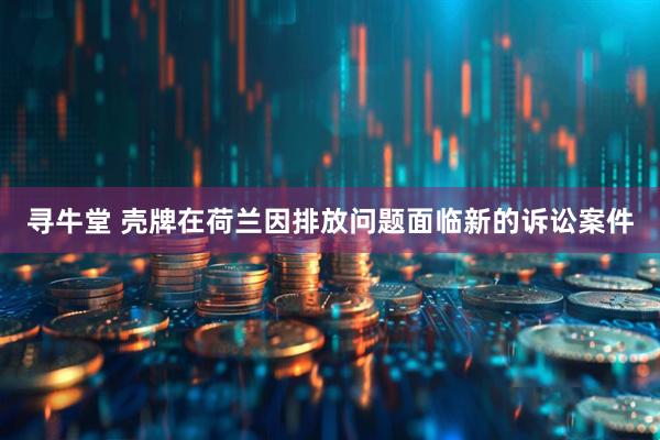 寻牛堂 壳牌在荷兰因排放问题面临新的诉讼案件