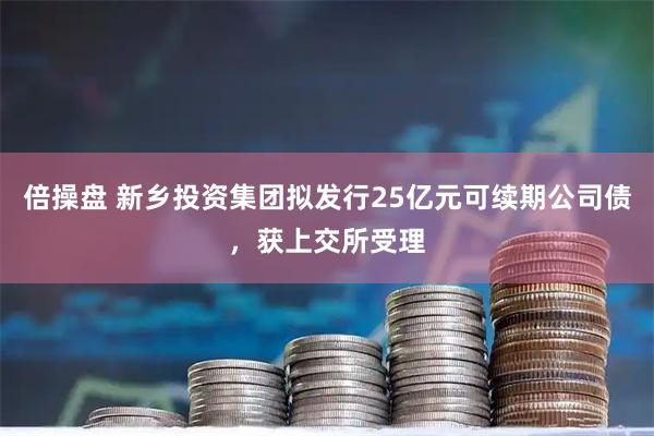 倍操盘 新乡投资集团拟发行25亿元可续期公司债，获上交所受理