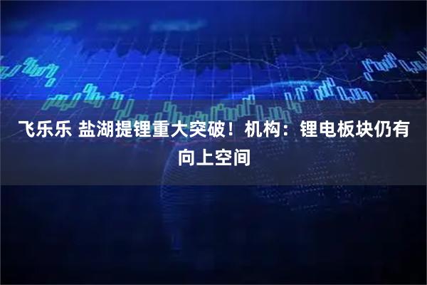 飞乐乐 盐湖提锂重大突破！机构：锂电板块仍有向上空间