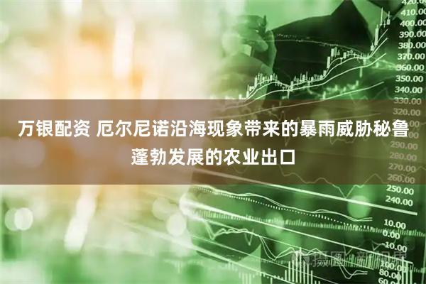 万银配资 厄尔尼诺沿海现象带来的暴雨威胁秘鲁蓬勃发展的农业出口