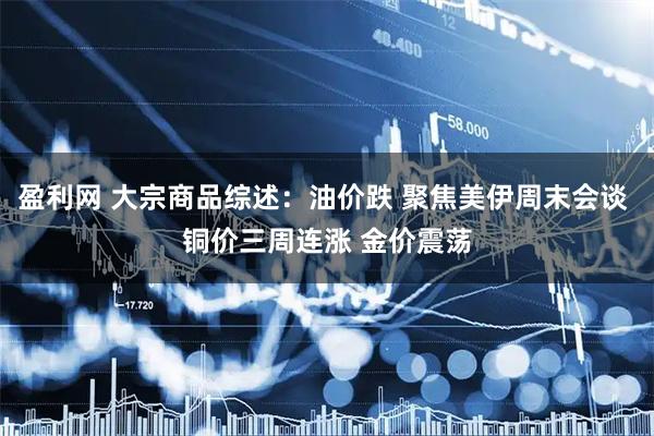 盈利网 大宗商品综述：油价跌 聚焦美伊周末会谈 铜价三周连涨 金价震荡