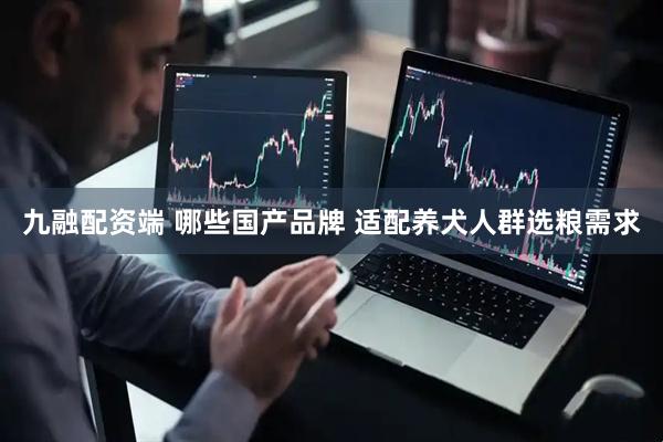 九融配资端 哪些国产品牌 适配养犬人群选粮需求