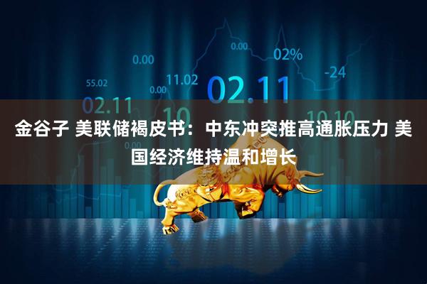 金谷子 美联储褐皮书：中东冲突推高通胀压力 美国经济维持温和增长