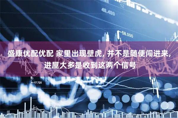 盛康优配优配 家里出现壁虎, 并不是随便闯进来, 进屋大多是收到这两个信号