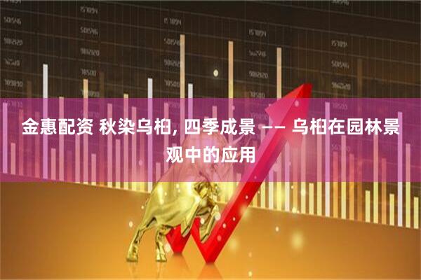 金惠配资 秋染乌桕, 四季成景 —— 乌桕在园林景观中的应用